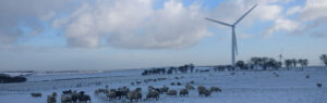 Image to Blackstone Edge